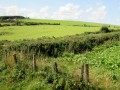 Irlanda