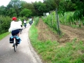 Pedalando sul Danubio