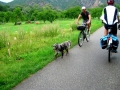 Pedalando sul Danubio
