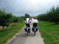 Pedalando sul Danubio