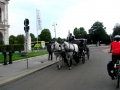 Vienna