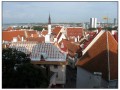 Tallin