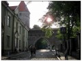 Tallin