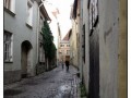 Tallin