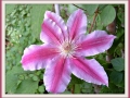 DSCF0031