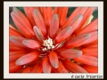 DSCF0082