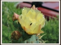 DSCF0120