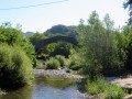 Garfagnana