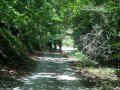 Garfagnana