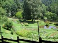 Riserva Naturale dell’Orecchiella