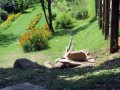 Riserva Naturale dell’Orecchiella