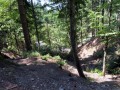 Riserva Naturale dell’Orecchiella