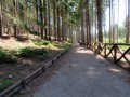 Riserva Naturale dell’Orecchiella