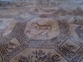 Aquileia