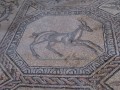 Aquileia