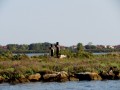 In mare verso l'Isola di Barbara, Grado