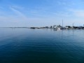Grado