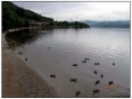 Loch Lomond - Scozia