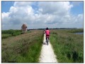 Pedalando verso Lemmer