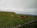 Clif of Moher