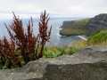 Clif of Moher