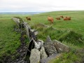 Clif of Moher
