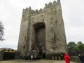 Bunratty Castle and Folk Park