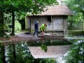Bunratty Castle and Folk Park