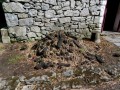 Bunratty Castle and Folk Park