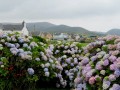 Ring of Kerry- Waterville