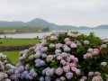 Ring of Kerry- Waterville