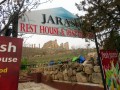 Sito Archeologico, Jarash