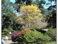 Parco Botanico, Kandy - Sri Lanka
