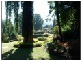 Parco Botanico, Kandy - Sri Lanka