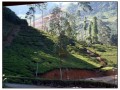 Nuwara Eliya - Sri Lanka
