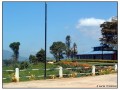 Nuwara Eliya - Sri Lanka