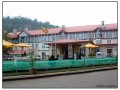 Nuwara Eliya - Sri Lanka