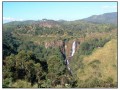 Nuwara Eliya - Sri Lanka