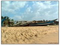 Negombo - Sri Lanka
