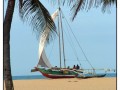 Negombo - Sri Lanka