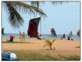 Negombo - Sri Lanka