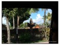 Kintamani - Bali