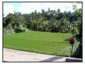 Kintamani - Bali