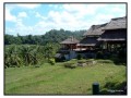 Kintamani-Bali