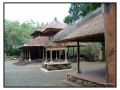 Monkey Forest, Ubud - Bali