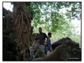 Monkey Forest, Ubud - Bali