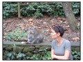 Monkey Forest, Ubud - Bali