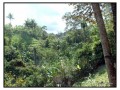 Ubud - Bali