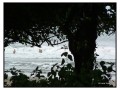 Legian