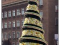 Riga